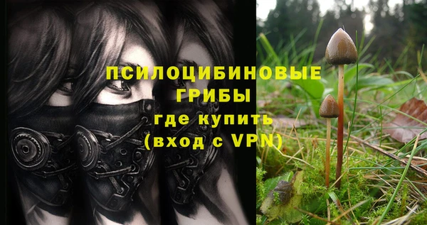 тгк Абинск