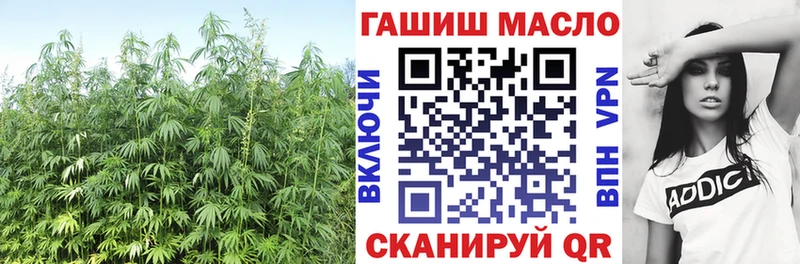 mega ONION  Бежецк  Дистиллят ТГК Wax 