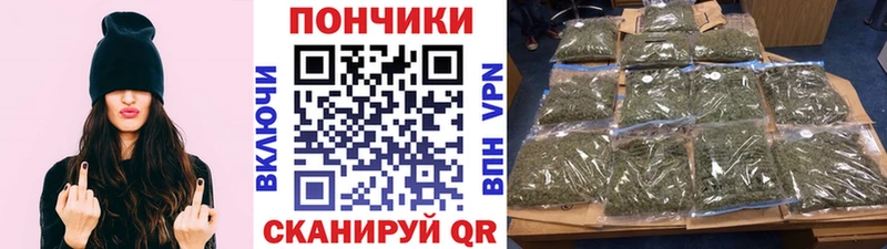 Бошки марихуана план Бежецк
